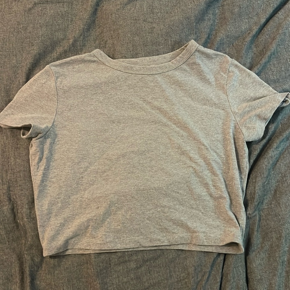 L Wild Fable Grey Crop Top
